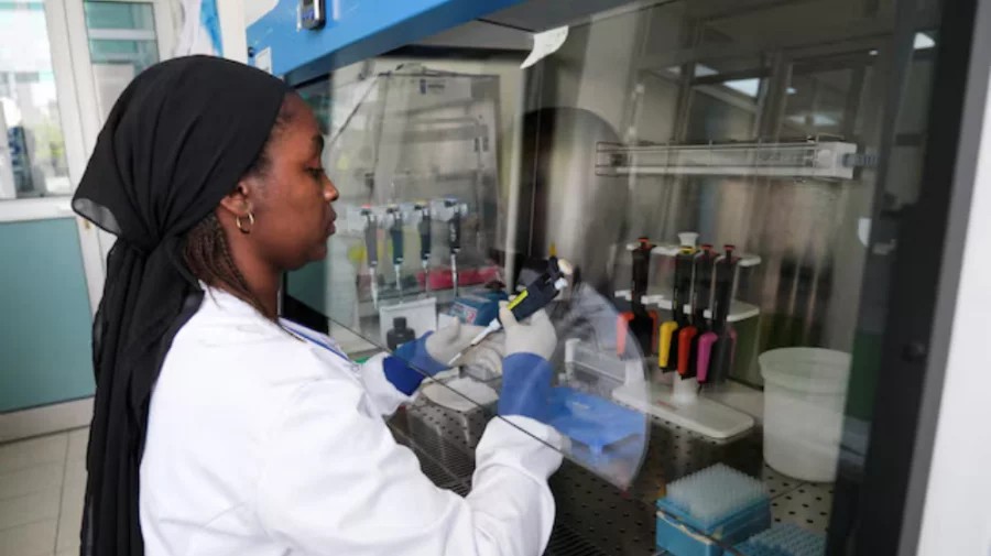 EU Supplies Experimental Drug for Hantavirus Treatment