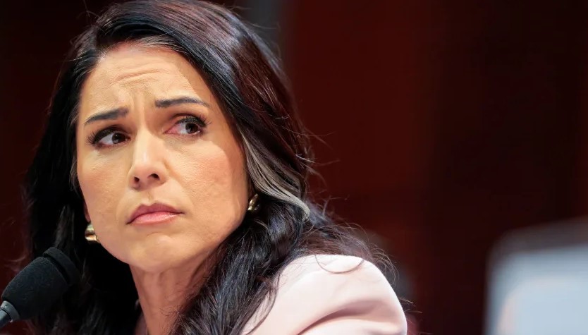 Tulsi Gabbard Resigns as Director of National Intelligence to Care for Husband Battling Rare Cancer