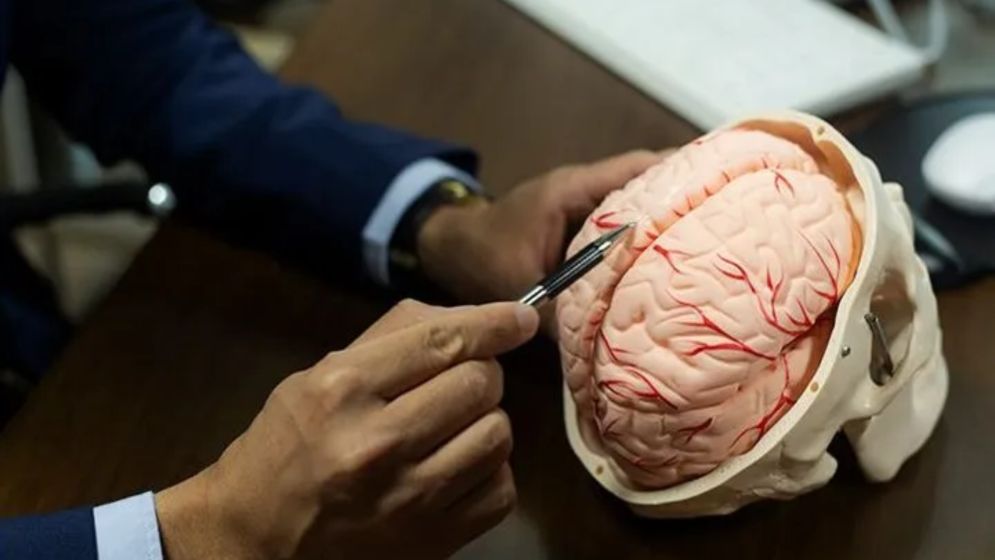 Iran Claims Breakthrough in Creating Artificial Brain Using Human Neurons