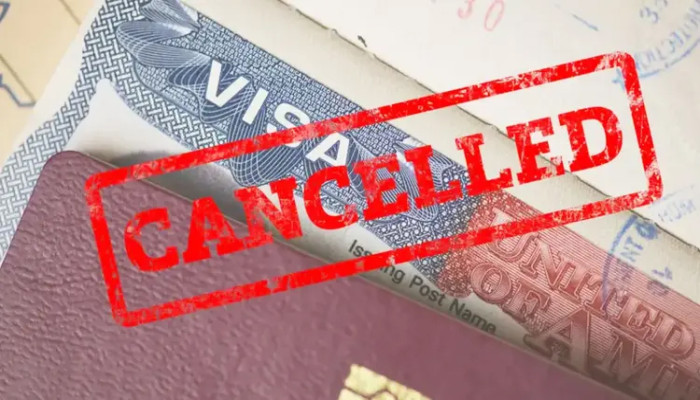 Trump Administration Plans to Cancel Visas of 200,000 Asylum Seekers