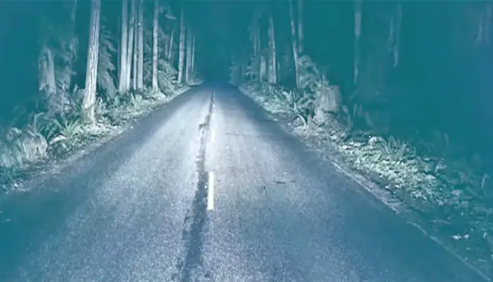 Where Dead Children Return Coins After Dark and Phantom Cars Give Chase: The Mystery of Clinton Road